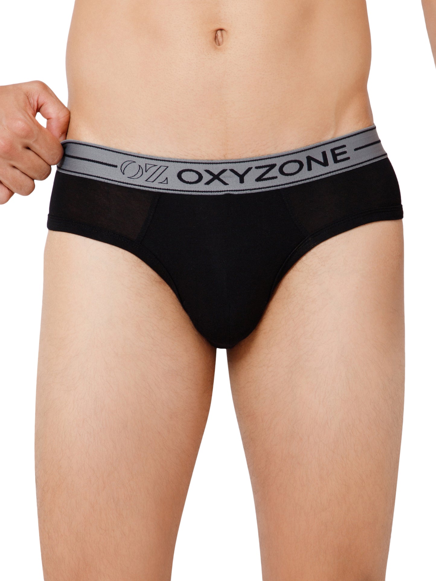 MODAL BRIEF