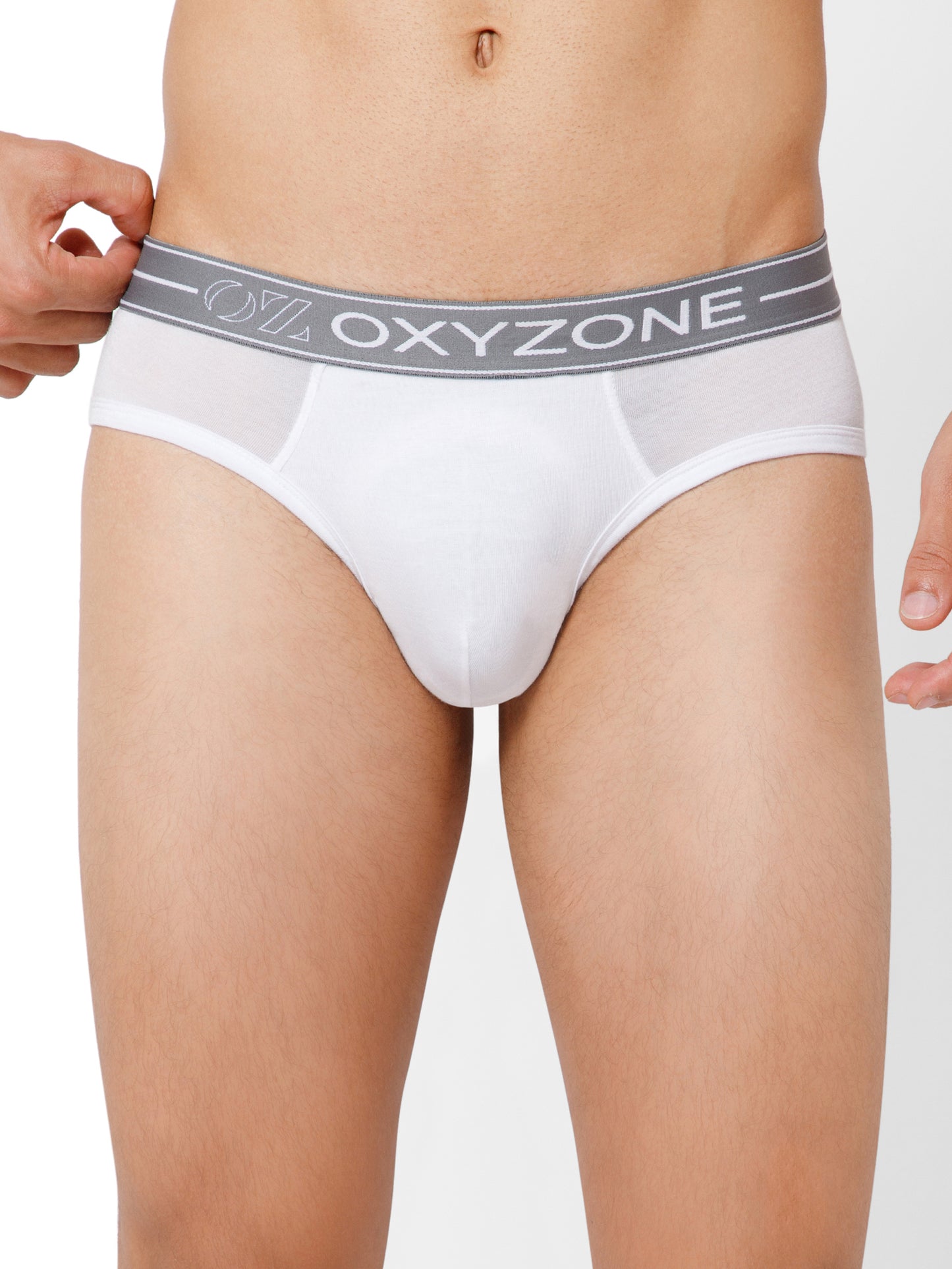 MODAL BRIEF