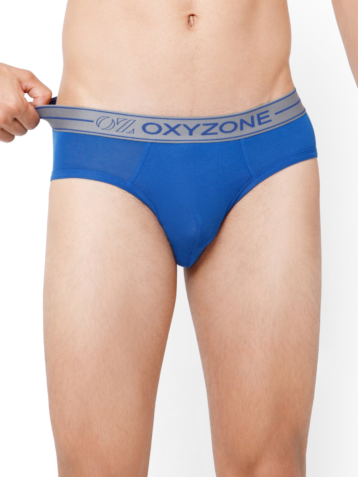 MODAL BRIEF