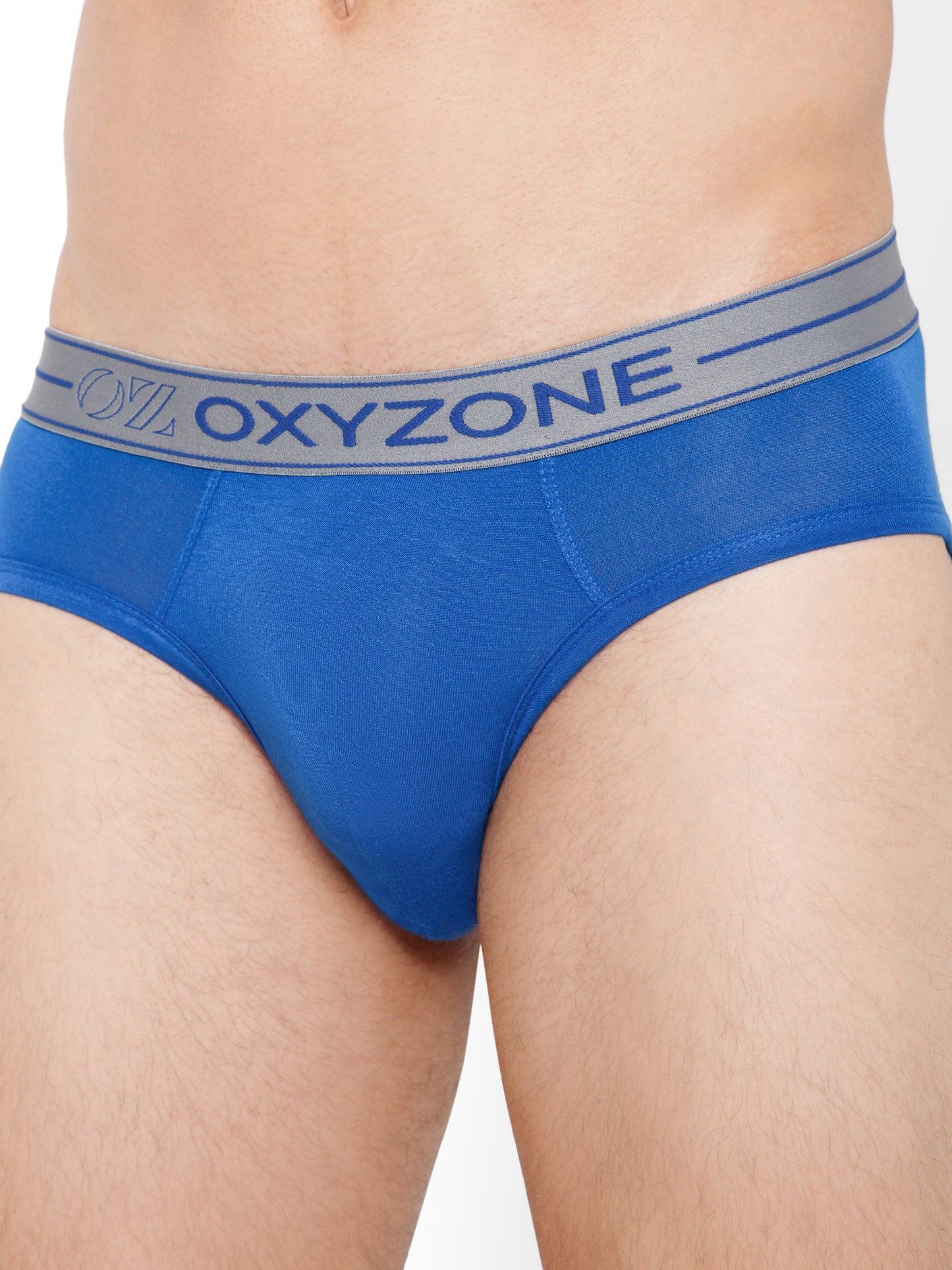 MODAL BRIEF